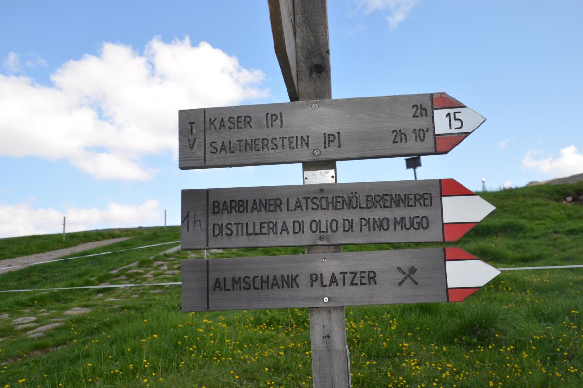 Platzer Alm 15.06.2023